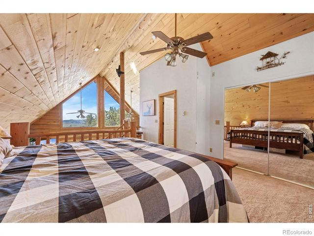 298 Mount Massive Drive, Livermore, CO 80536