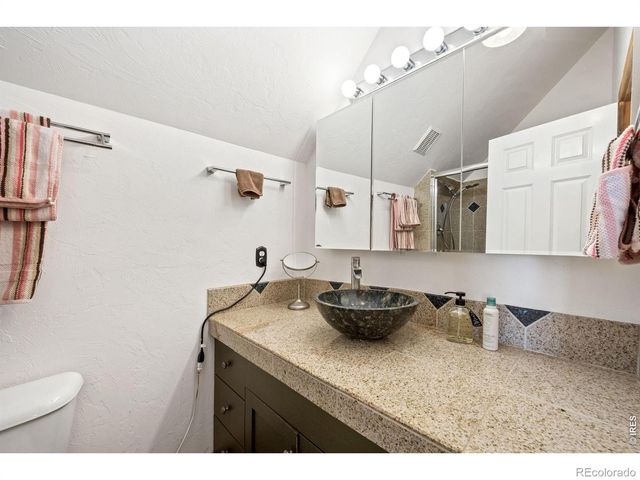 298 Mount Massive Drive, Livermore, CO 80536