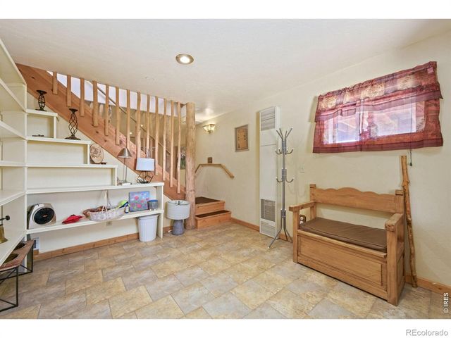 298 Mount Massive Drive, Livermore, CO 80536