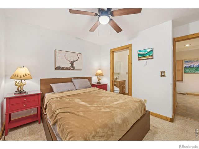 298 Mount Massive Drive, Livermore, CO 80536