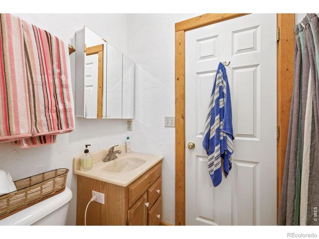 298 Mount Massive Drive, Livermore, CO 80536