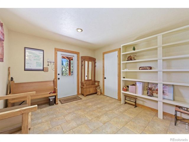 298 Mount Massive Drive, Livermore, CO 80536