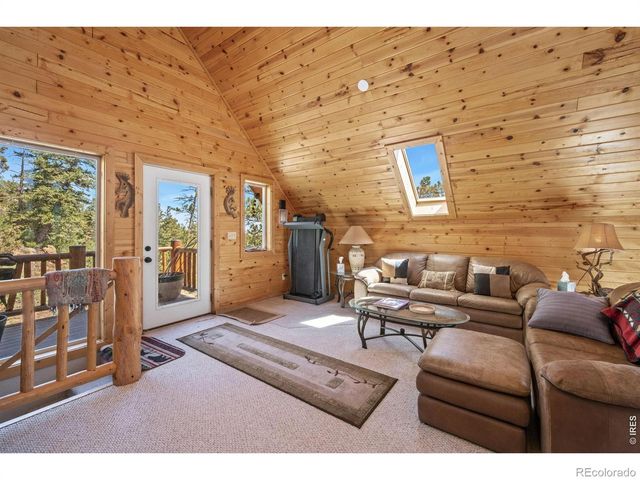 298 Mount Massive Drive, Livermore, CO 80536
