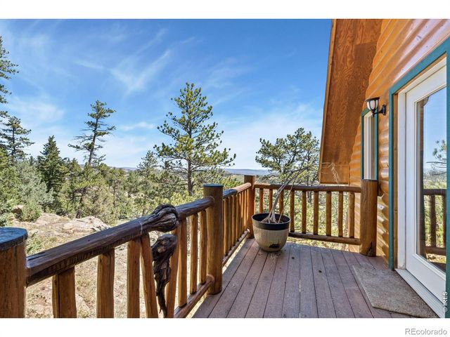 298 Mount Massive Drive, Livermore, CO 80536