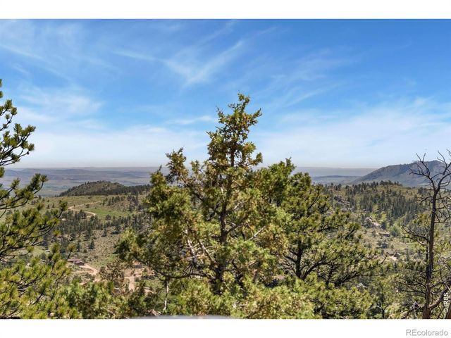 298 Mount Massive Drive, Livermore, CO 80536