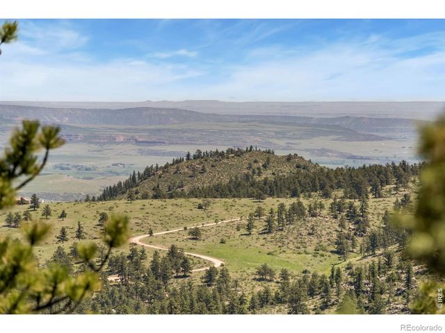 298 Mount Massive Drive, Livermore, CO 80536