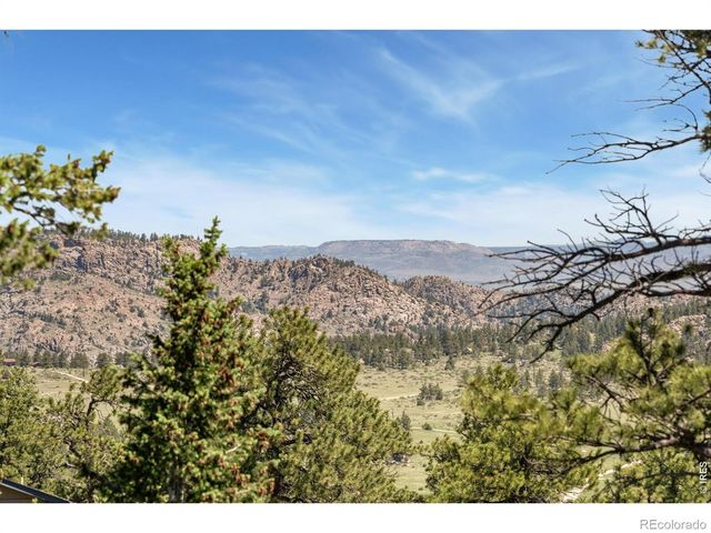 298 Mount Massive Drive, Livermore, CO 80536
