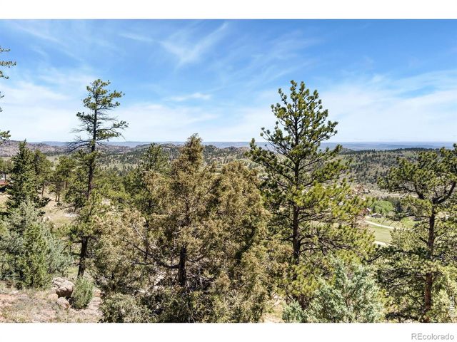 298 Mount Massive Drive, Livermore, CO 80536