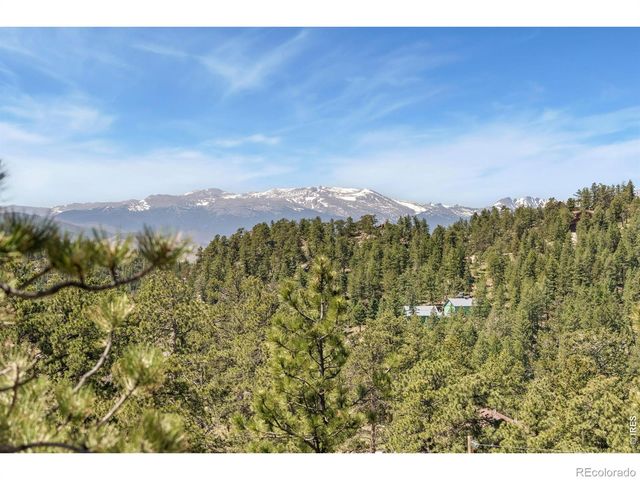 298 Mount Massive Drive, Livermore, CO 80536