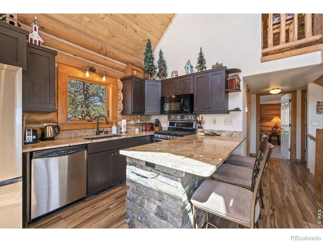 298 Mount Massive Drive, Livermore, CO 80536