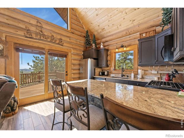 298 Mount Massive Drive, Livermore, CO 80536