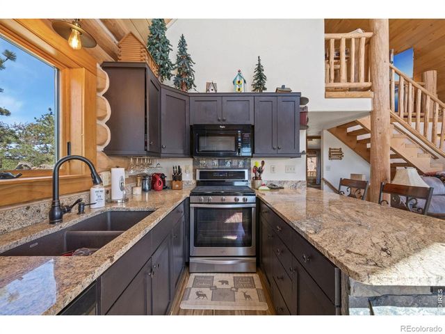 298 Mount Massive Drive, Livermore, CO 80536