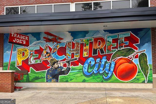 501 Saltlick Trace, Peachtree City, GA 30269