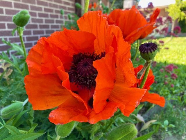 3984 S LUETTA DR, Millcreek, UT 84124