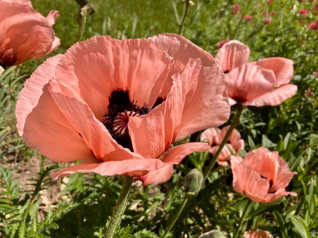 3984 S LUETTA DR, Millcreek, UT 84124