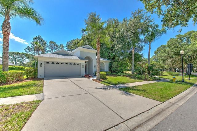 3412 STONEBRIDGE TRAIL, Valrico, FL 33596