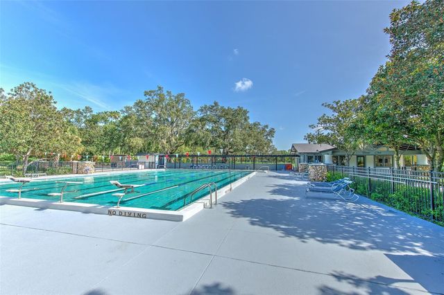 3412 STONEBRIDGE TRAIL, Valrico, FL 33596