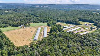 799 Barrens Community Rd, Clinton, AR 72031