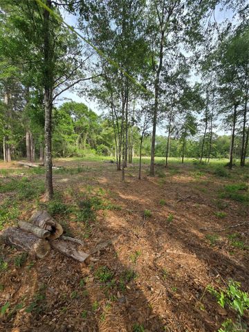 3805 Piney Point Road, Conroe, TX 77301