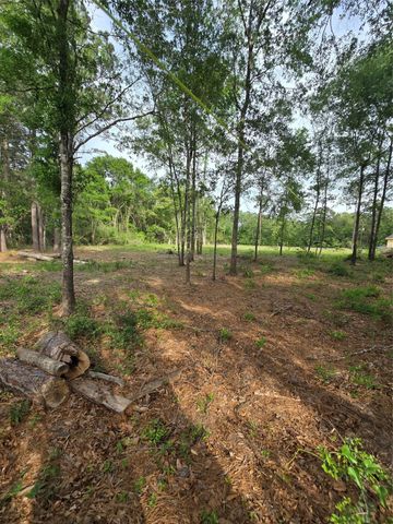 3805 Piney Point Road, Conroe, TX 77301