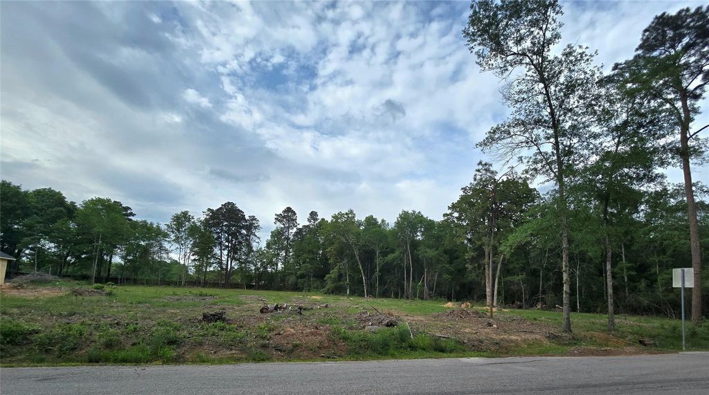 3805 Piney Point Road, Conroe, TX 77301