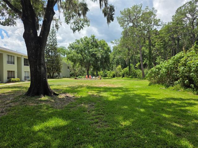 1761 CUPECOY CIRCLE N4, Lutz, FL 33558
