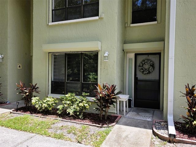 1761 CUPECOY CIRCLE N4, Lutz, FL 33558