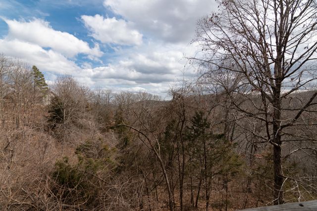 26 Sinatra Court 3, Branson West, MO 65737