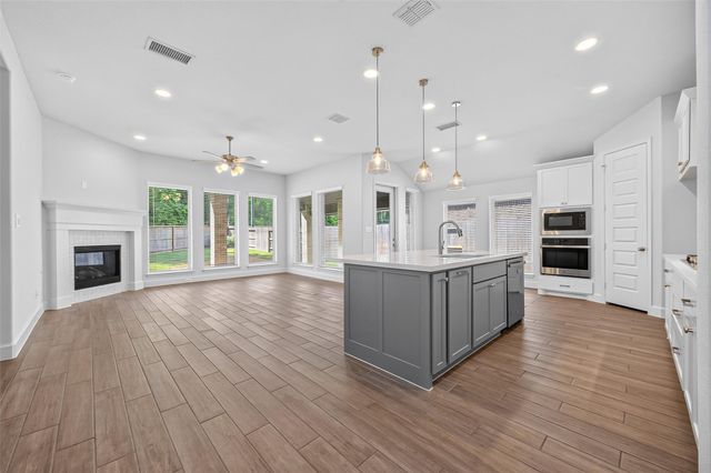 232 W Netleaf Court, Montgomery, TX 77316