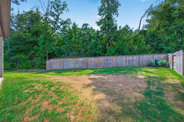 232 W Netleaf Court, Montgomery, TX 77316