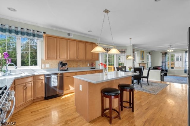 5 Emmons Ct, Bridgewater Twp., NJ 08807