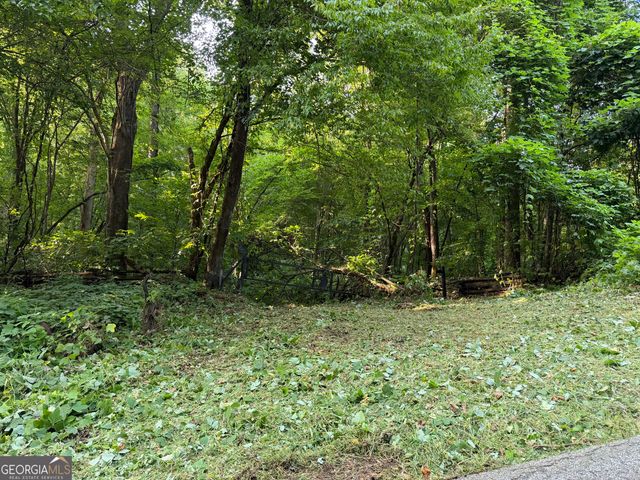 0 Tuts Mountain Road, Clayton, GA 30525