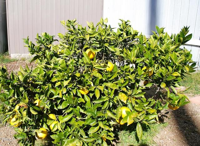 4388 E Central Avenue 63, Camarillo, CA 93010