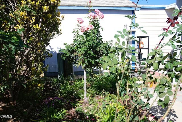 4388 E Central Avenue 63, Camarillo, CA 93010