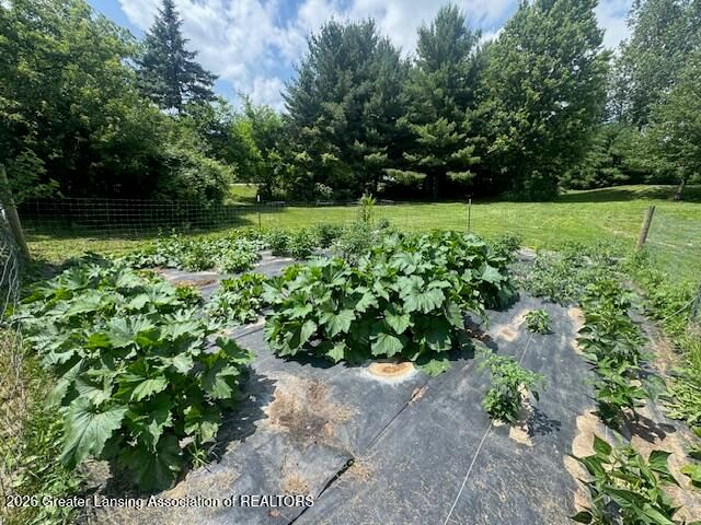 3494 W Kipp Road, Mason, MI 48854