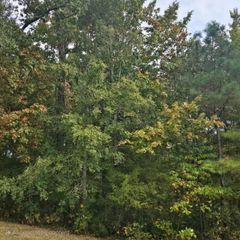 0 Haven Drive SW, Mcdonald, TN 37353