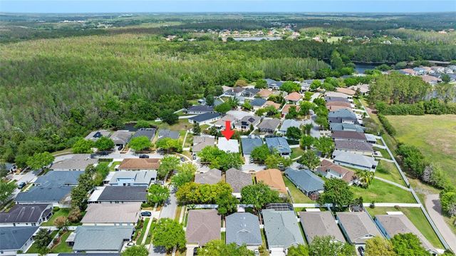 5015 SKY BLUE DRIVE, Lutz, FL 33558