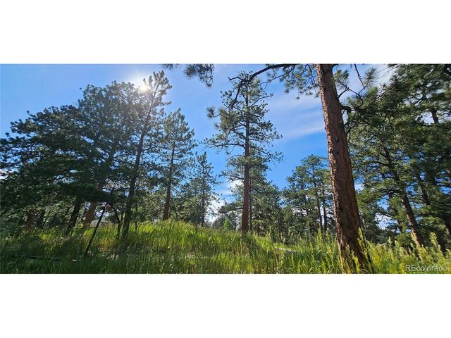 27901 Pine Dr, Evergreen, CO 80439