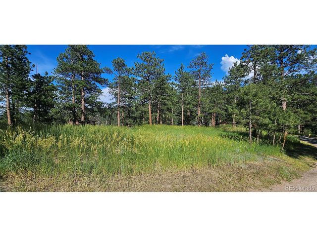 27901 Pine Dr, Evergreen, CO 80439