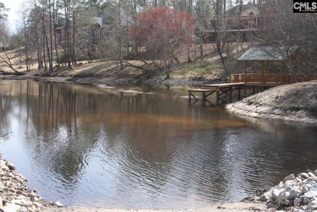 310 Beaumont Park Circle, Blythewood, SC 29016