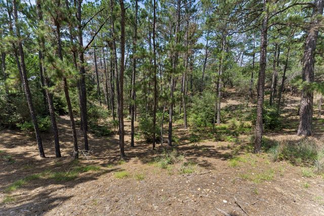 138 Papawai DR, Bastrop, TX 78602