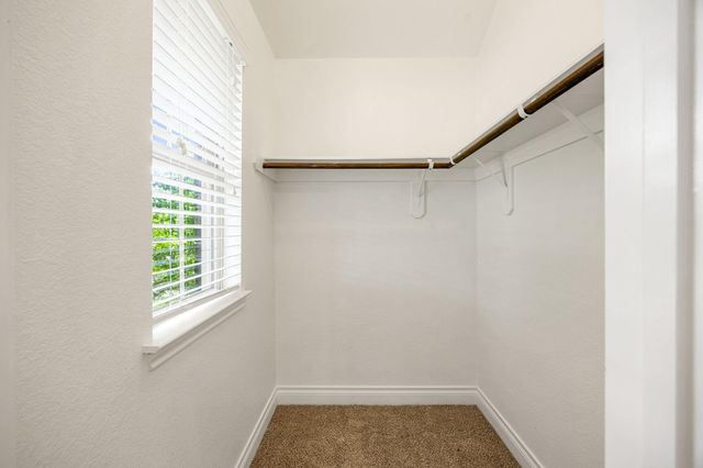 2322 Angel Trumpet Drive, Katy, TX 77494