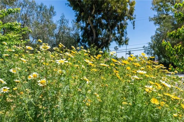 2 Chuckwagon, Rolling Hills, CA 90274