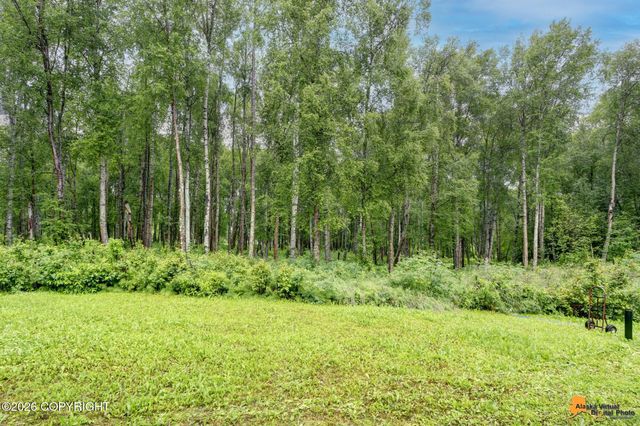 3609 N One Horse Lane, Wasilla, AK 99623