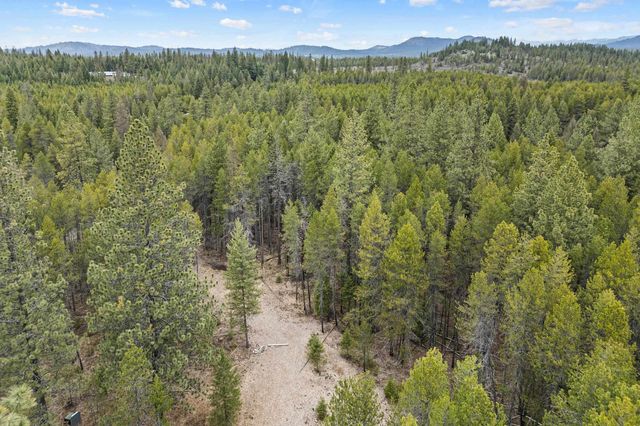 1901 Pines Rd, Newport, WA 99156