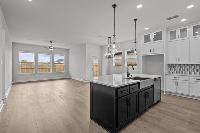 119 Amaranth Way, Richmond, TX 77406