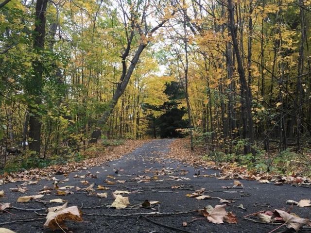 379 Jandel Avenue NE, Hanover, MN 55341