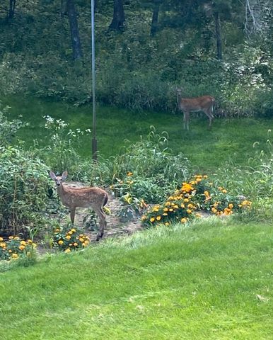 379 Jandel Avenue NE, Hanover, MN 55341