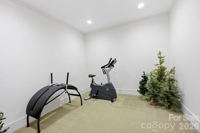 415 Goodrum Street, Davidson, NC 28036