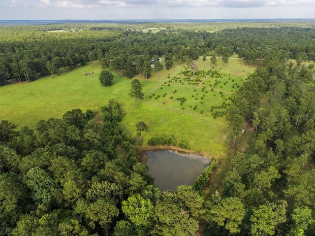 5345 Deep Forest Trail, Navasota, TX 77868